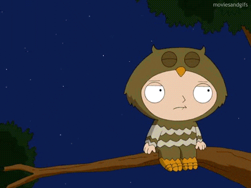 This Guy Stinks Says Owl On Stewie GIF