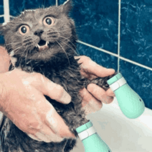 This Is Fine Cat Shower GIF
