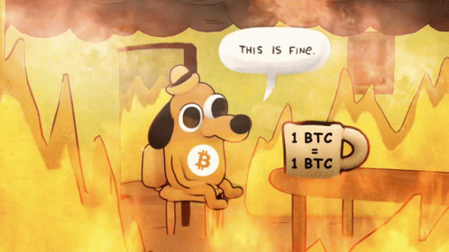 This Is Fine Meme Bitcoin Price Smoke Fire GIF