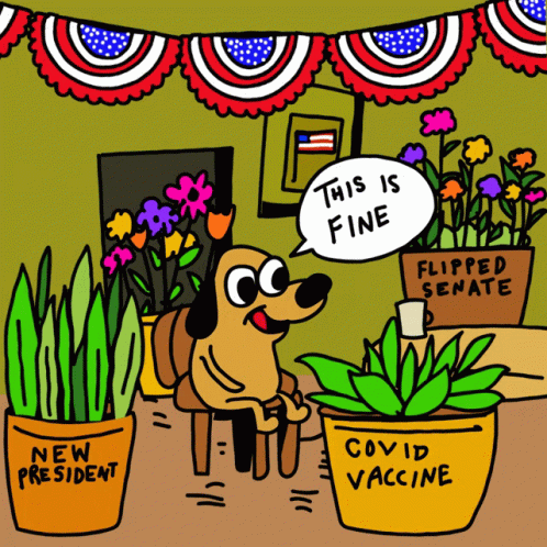This Is Fine Meme Usa Political Situation GIF