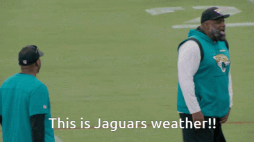 This Is Jaguars Weather GIF