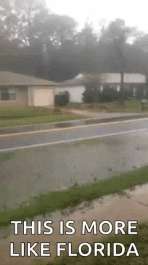This Is More Like Florida Naked Man GIF