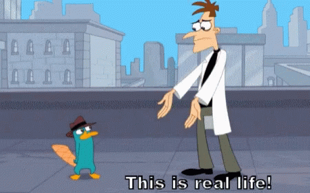 This Is Real Life Perry The Platypus GIF