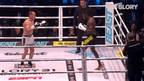 This Is Sparta Style Kick Boxing GIF
