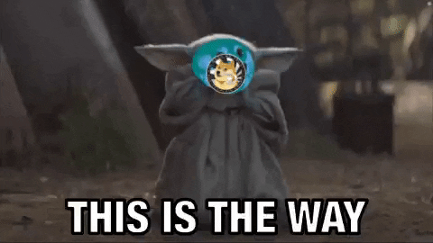 This Is The Way Dog Meme In Yoda's Head GIF