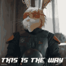 This Is The Way Rabbit Wearing Helmet GIF