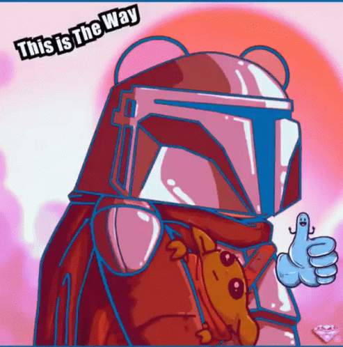 This Is The Way Thumbs Up GIF