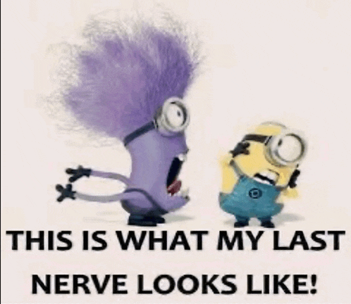 This Is What My Last Nerve Looks Like Meme GIF