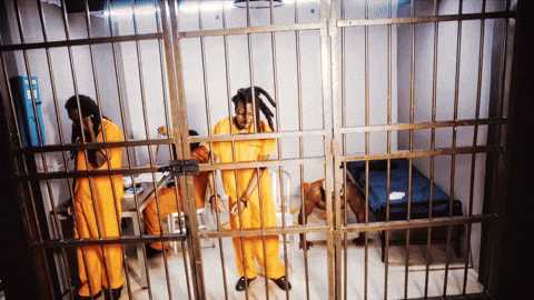 This Place Is A Prison Bar Boys GIF