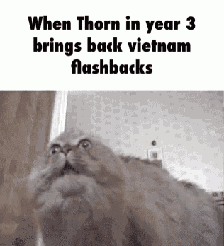 Thorn Flashback Cat Gif GIF