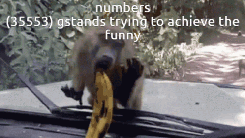 Those Are Rookie Numbers Silly Monkey GIF