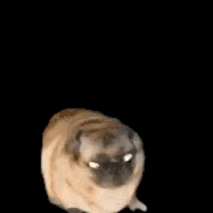 Those Who Watch Will Be Rewarded With Cookie GIF