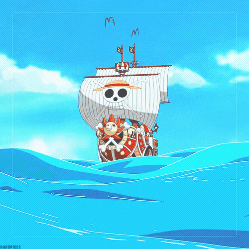 Thousand Sunny Epic Zoro GIF