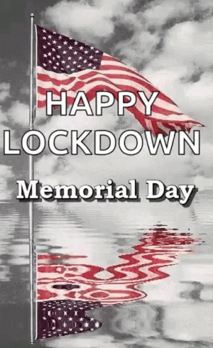 Three American Flags Reflection on Lock Down Memorial Day Card