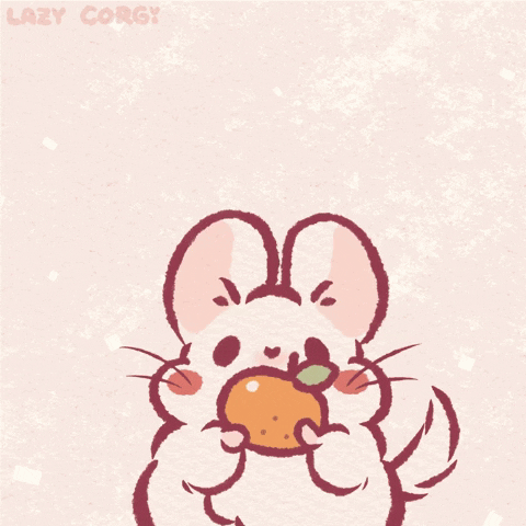 Three Animated Cute Chinchilla GIF