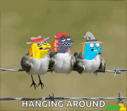 Three Birds Sitting On Barbed Wire GIF