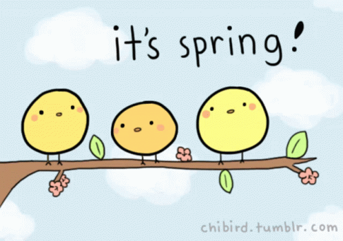 Three Birds on Tree Branch It's Spring Tweet