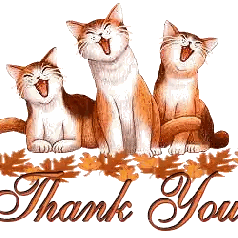 three brown and white cats are sitting next to each other with the words thank you below them