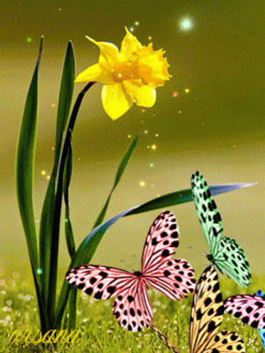Three Butterflies Are Flying Around A Yellow Flower In A Garden GIF