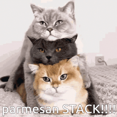 Three Cats Are Stacked On Top Of Each Other And The Caption Says Parmesan Stack !!! GIF