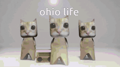 Three Cats Are Standing Next To Each Other On A Pink Background With The Words Ohio Life Written Above Them . GIF