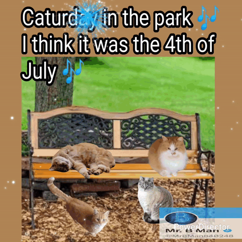 Three Cats Bench Saturday in the Park 4th of July