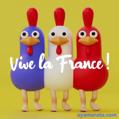 three chickens are standing next to each other with the words vive la france written on them