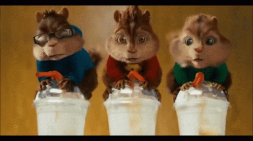 Three Chipmunks Are Drinking Milkshakes With Straws GIF