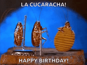 three cockroaches are standing next to each other on a brick with the words la cucaracha happy birthday .