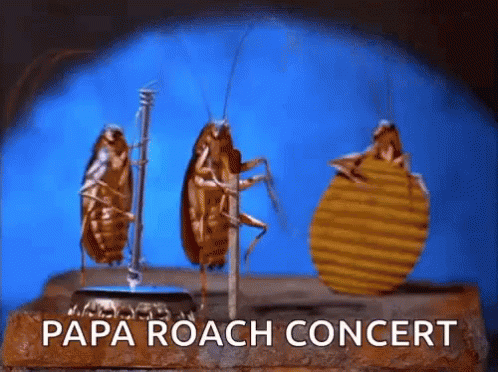 Three Cockroaches Are Standing On A Bottle Cap With The Words Papa Roach Concert Written Below Them GIF