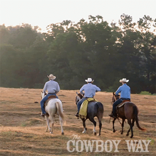 Three Cowboys Riding Horses