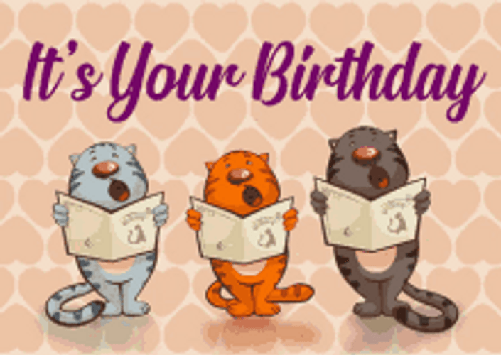 Three Cute Singing Cats Its Your Birthday GIF