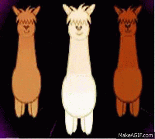 Three Different Colored Llamas Are Standing Next To Each Other On A Dark Background . GIF