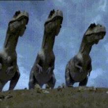 Three Dinosaurs Are Standing Next To Each Other In The Dirt GIF