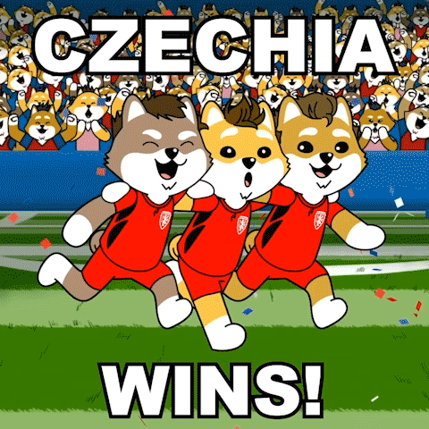 Three Dogs Running Field Czechia Wins GIF