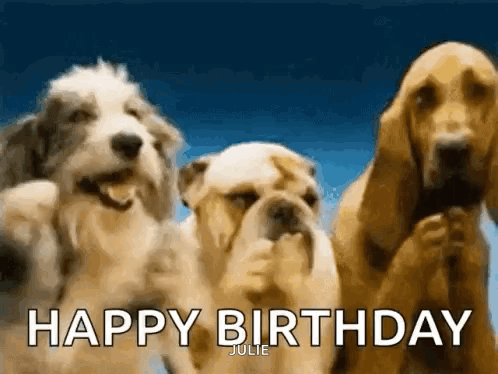 Three Dogs Saying Happy Birthday GIF