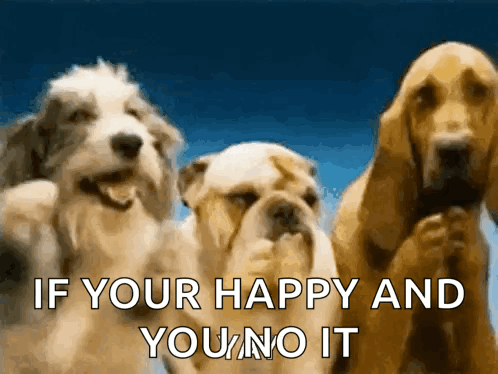 Three Dogs Standing Next To Each Other With The Words If Your Happy And You No It GIF