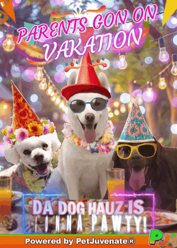 Three Dogs Wearing Party Hats And Sunglasses Are On A Poster That Says Parents Con On Vacation GIF