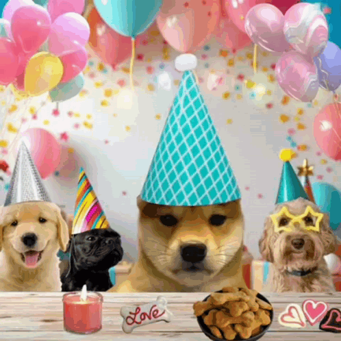 Three Dogs Wearing Party Hats Are Sitting At A Table With Balloons And Treats GIF