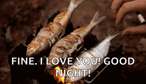 Three Fish Are Cooking On A Grill With The Words Fine I Love You Good Night Written Below Them GIF