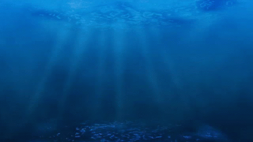 Three Fish Are Swimming In A Row In The Water GIF