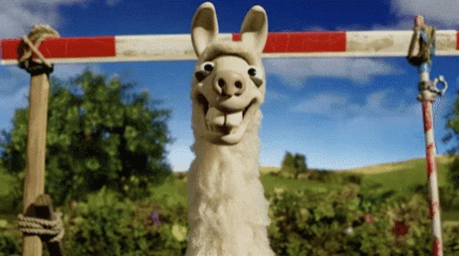 Three Funny Llama  GIF
