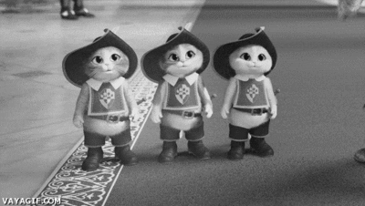 Three Gentlemen Cat Knight GIF