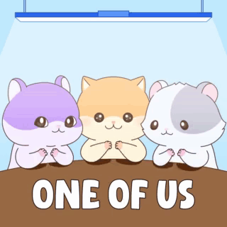 Three Hamsters Sitting At Table GIF