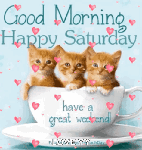 Three Kittens Are Sitting In A Cup Of Coffee With Hearts Around Them . GIF