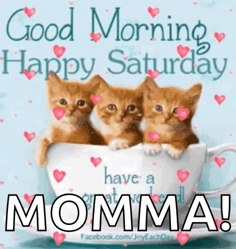 Three Kittens Are Sitting In A Cup With Hearts And The Words `` Good Morning Happy Saturday Momma ! '' GIF