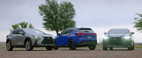 Three Lexus Cars Parked on Gravel Road