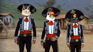 Three Men in Mariachi Outfits with Cats on Faces