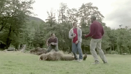 Three Men Playing With Dog On Grass GIF