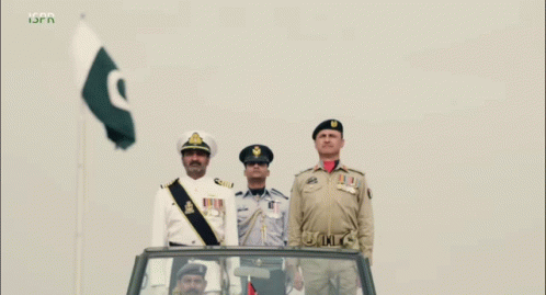 Three Military Men Saluting Green and White Flag